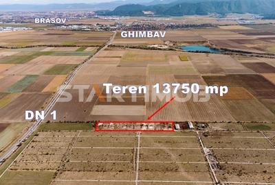 Teren Construcții intravilan de 13750 mp, în Sud-Est - 3