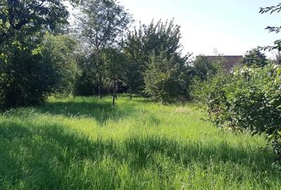 Teren de 988 mp, în Tărlungeni - 2