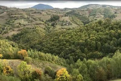 Teren de 4300 mp, în Poiana Mărului - 1