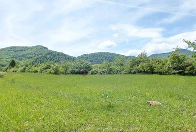 Teren Intravilan - Pretabil Investitie - 1