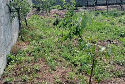 Casă cu 2 camere în Central