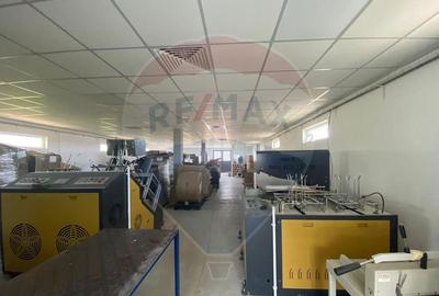 Teren cu hala, Bucsani, Crevedia / DN 61 (A1, A0) 40 Km ... - 11