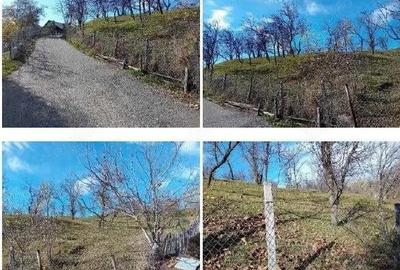 Teren cota parte 1/2, Sat Vistieru, ID: R2809860 - 4