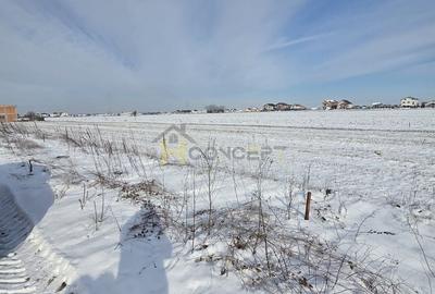 Teren ideal investitie 2 loturi  Str Calugareni-Lapusneanu - 3