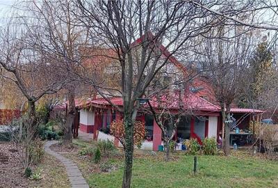 Barnova str Principala Vila P+1+M 225mp Teren 600mp amenajat - 1