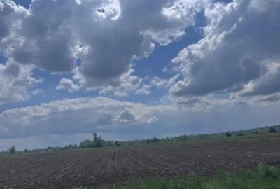 Teren de 7800 mp, în Rădăuți - 1