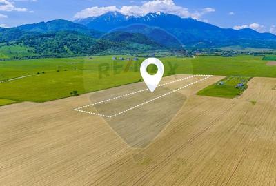 Teren agricol extravilan de 12300 mp, în Glăjărie - 1