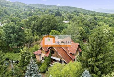 Vedere directa la Padure, 5000mp teren, Vila D+P+1E+M, se... - 1