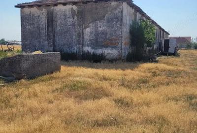 Vand hala 600 mp cu teren intravilan 9000 mp - 2