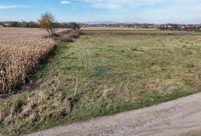 Comision 0% | Teren intravilan | Zona Bartolomeu-Lanii | 460 mp - 8