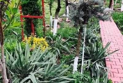 Casă Olari zona Balta Doamnei - 10