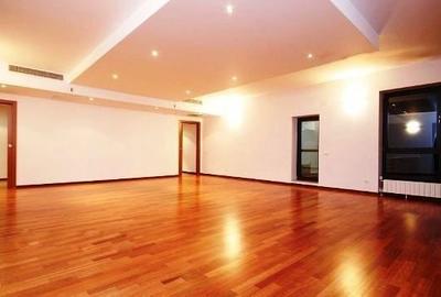 Apartament nemobilat Herastrau - 2