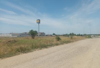 Teren Intravilan - Branesti - Investitie Pentru Hale Industriale - Vanzare - 21