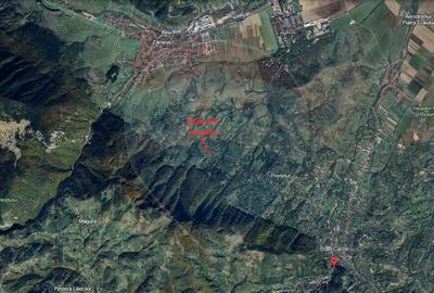 Teren 4,223mp Zarnesti - Tohanita - 5