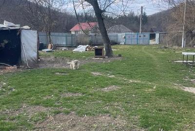 Casă cu 3 camere cu Teren 2700 Mp în Măgura - 5