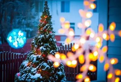 Spatiu cat sa ai Doi Brazi si ZERO Regrete - 1