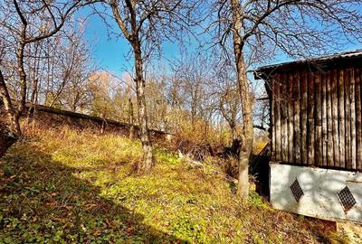 Casa de vanzare in Sacele, toate utilitatile - 11