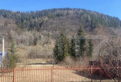 Casă cu 7 camere cu Teren 2000 Mp în Central - 1