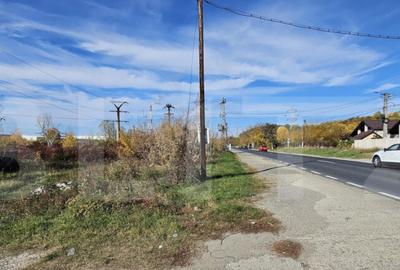 Teren in Doicesti 2000 mp, intravilan - 2