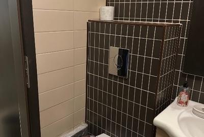 Apartament cu 2 camere semidecomandat în Crângași - 14