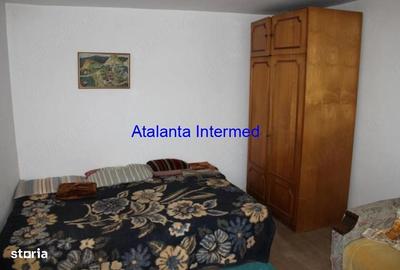 Casă cu 2 camere în Viișoara - 10