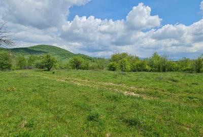 Teren 1500 mp panorama superba Str Paltinului Valea Ghinzii Bistrita - 2