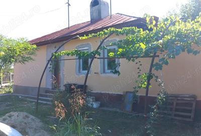 Vand casa Glodeanu Sili?tea - 4