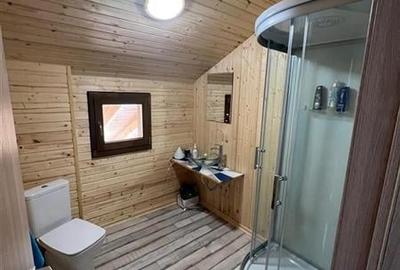Casa de vacanta situata in Marisel! - 20