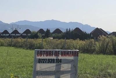 Teren Construcții intravilan de 500 mp, în Stupini - 3