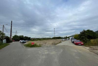 Teren intravilan, investie Hale Industriale, zona Est - 4