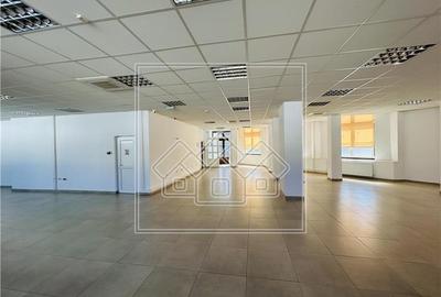 Spatiu comercial, 876 mp utili,  10 parcari, Piata Cluj - 3
