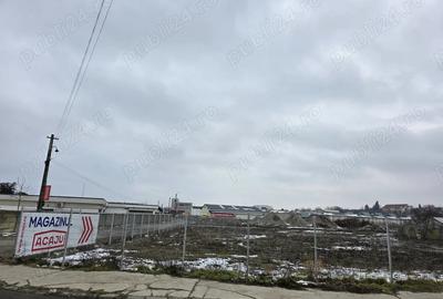 Teren de 11000 mp, în Traian - 4