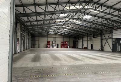 Spatiu de depozitare si productie Iuliul Maniu - 9