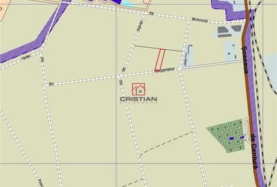 Teren de 5000 mp, în Domnești