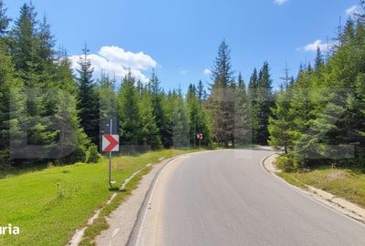 Teren de 1000 mp, în Central - 2