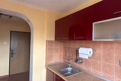 Apartament 2 camere Piata Muncii, 5 minute de metrou, PET-FRIENDLY, modern - 8
