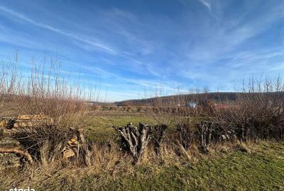 Spațiu comercial, în Rășinari - 6