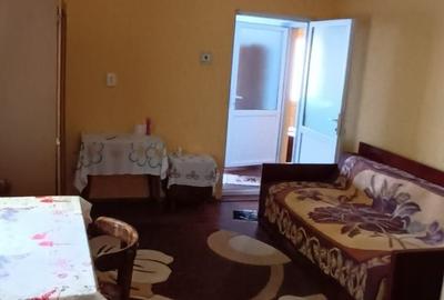 Casă cu 3 camere cu Teren 3200 Mp în Mislea - 4