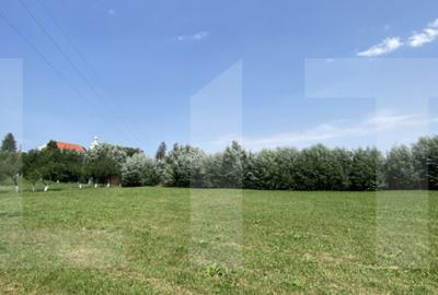 Teren intravilan 3.000 mp cu front stradal 30 m Sat. Moa - 3