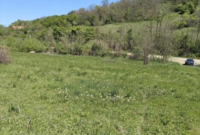 Spațiu comercial, în Curteni - 1