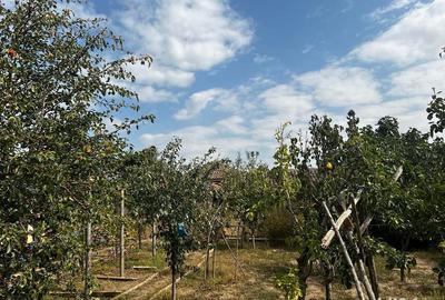 Casă cu 3 camere în Ceamurlia de Sus - 1