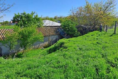Teren de 1000 mp, în Sultana - 6