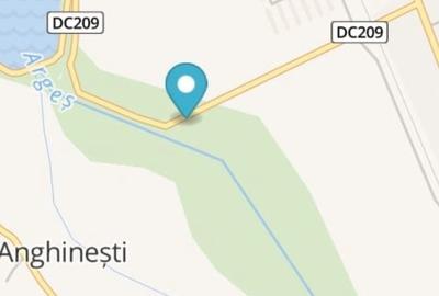 Teren de 7000 mp, în Băiculești