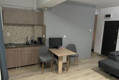 Apartament cu 2 camere decomandat, mobilat în Vest - 2
