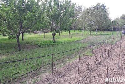Casă cu 6 camere în Moldoveni - 5