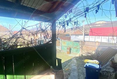 Casă cu 3 camere cu Teren 1163 Mp în Nord - 1