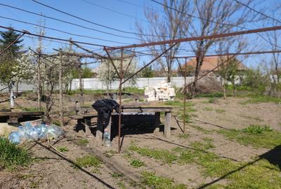 Casă individuală cu 2 camere cu Teren 4000 Mp în Moldoveni - 2
