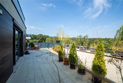 Inchiriere Apartament 3 Camere Erou Iancu Nicolae - 17