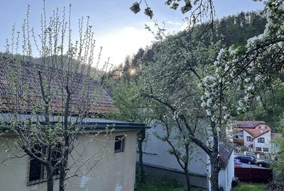 Teren de 707 mp, în Schei - 6