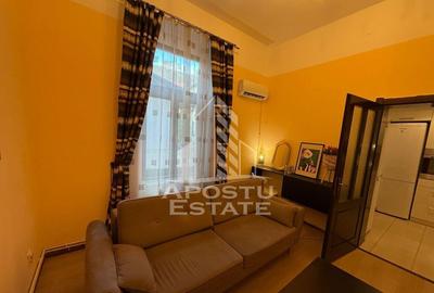 Apartament cu 2 camere ,pet friendly ( Paltim) - 1